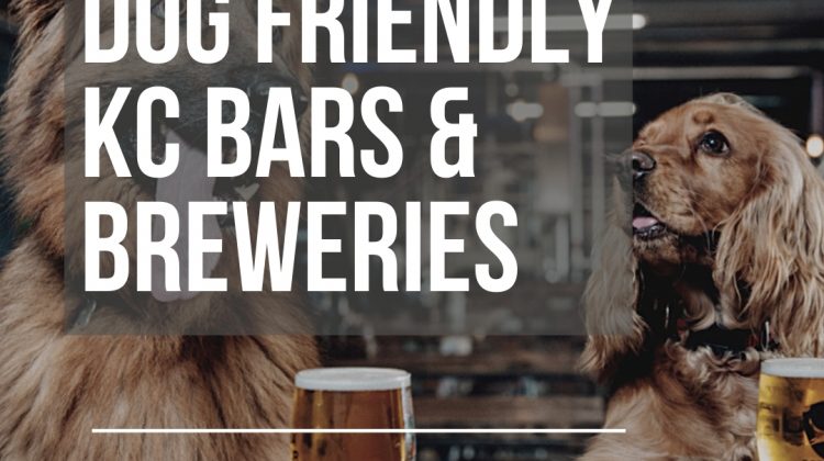 Dog Friendly KC Bars & Breweries